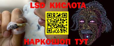 гидра Краснознаменск
