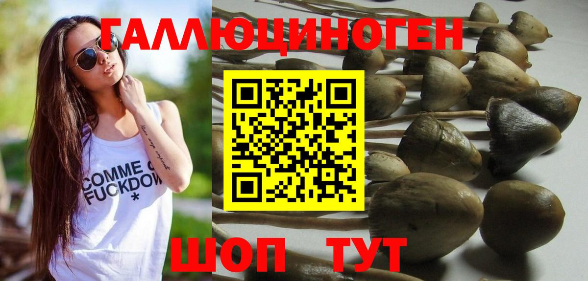 Псилоцибиновые грибы Psilocybine cubensis  Псилоцибиновые грибы Psilocybe  Унеча  Вход с VPN 